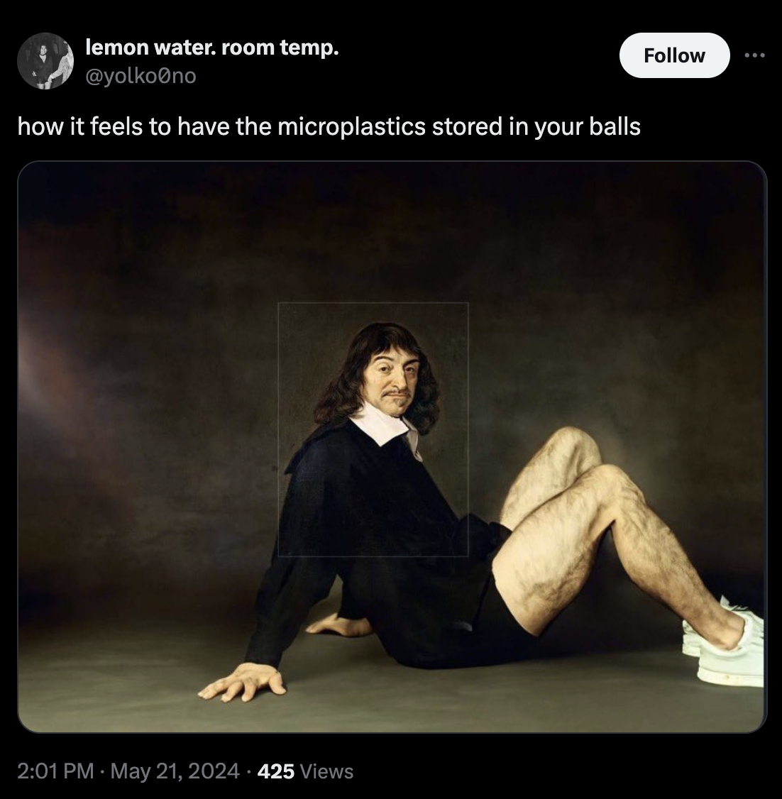descartes portrait expanded - lemon water. room temp. no how it feels to have the microplastics stored in your balls 425 Views